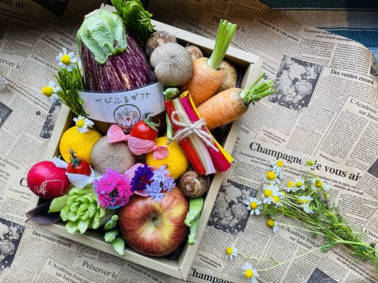 ベジふるギフト 「縁-ENISHI-」