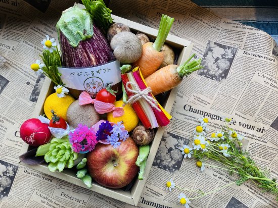 葉菜の森｜野菜・果物の新鮮オンライン直売所